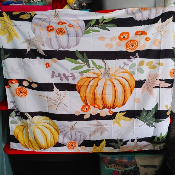 Striped Pumpkin Tapestry - Picture 2 of 4